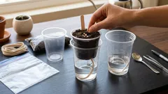 Näin kasvatat paprikan taimet kaksi kertaa nopeammin: edistynyt menetelmä, jota kaikki eivät tunne