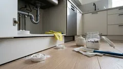 Torakat asunnossa? Näin ruokasooda–sokerisyötti tehoaa – ja miten estät paluun