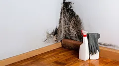 Miksi huonekalujen taakse kertyy kosteutta ja hometta? Harvat ajattelevat yhtä tärkeää syytä.