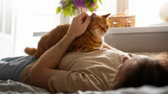 Pörröinen pikkuparantajasi: miksi kissasi tulee luoksesi, kun voit huonosti?