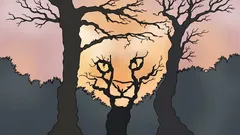 Mitä näet tässä kuvassa? Psykologinen testi, joka paljastaa, miten koet maailman.