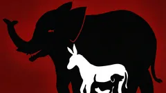 Mielenkiintoinen optinen harha: kuinka monta eläintä löydät tästä kuvasta 10 sekunnissa?